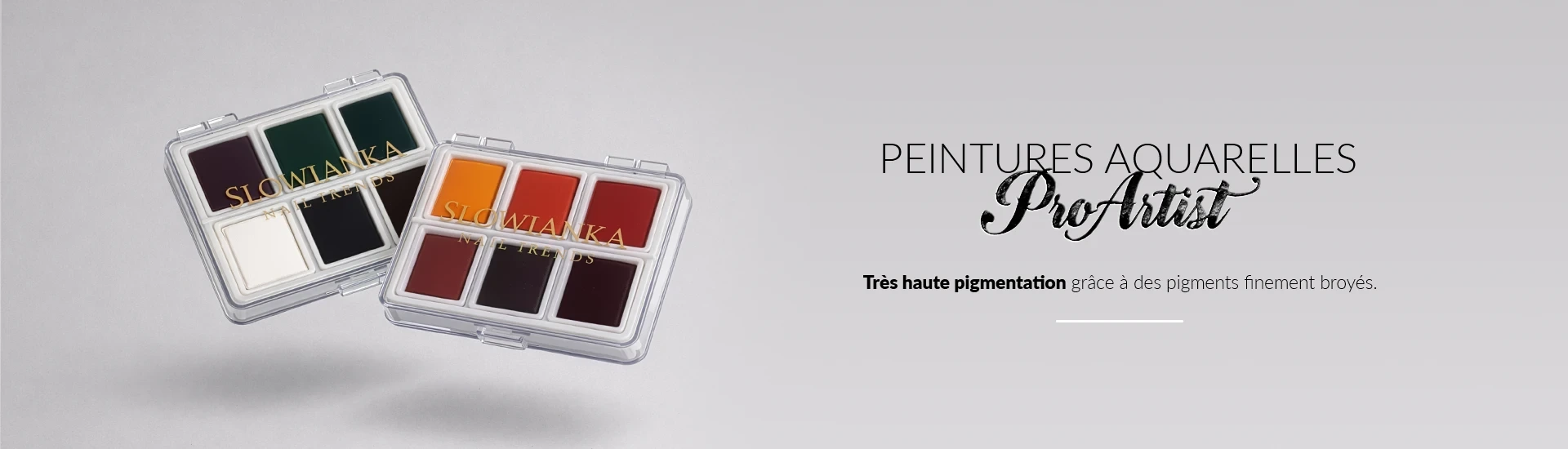 Peintures Aquarelles ProArtist